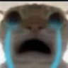 relink's profile picture