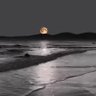 Aklı Başında ADAM 🌙's profile picture