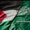fayez saeed's profile picture