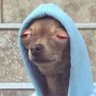 Profilbild von Bonga Tau Mphafudi