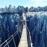 Guille Pedrero profil fotoğrafı
