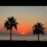 California Sunshine's profile picture