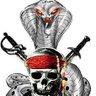 Profilbild von 🐍Cobra_NL🏍