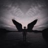 Profilbild von يُوسُف