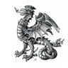 Basilisk Lore 的头像