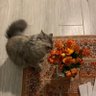 لُجيـن profil fotoğrafı