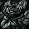 Фото профиля & Ahmad &