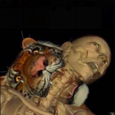 Symere Woods's profile picture