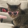 Falon's profile picture