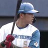Fighters & DarVish fan ♪ 的头像