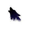 MN_Howl profil fotoğrafı