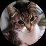 美味之介(ミミ)'s profile picture