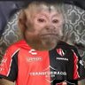 Profilbild von RojiPrieto