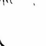Profilbild von deadaccount