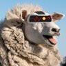 Profilbild von SheepyTheBotT