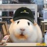 Euphoria's profile picture