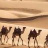 Фото профиля يوسف أبو ٱدم