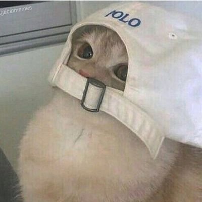 냐's profile picture