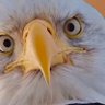 Eric profil fotoğrafı