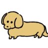 dogsthanhumans 的头像