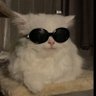 𝐏𝐮𝐫𝐮's profile picture