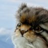 ããã°ã©ã profil fotoÄrafı