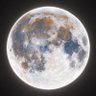 A🌙MoonGrape🍇 profil fotoğrafı
