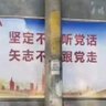 Profilbild von 律新冬樹