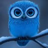 นกฮูกสีรุ้ง profil fotoğrafı