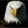 Crypto By Eagle's profile picture