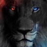 Profilbild von ❤️💙👉🦁👈