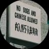 Profilbild von 台灣獨立,支那賤畜死光!
