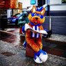 Captain Conker🐿's profile picture