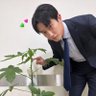 Profilbild von つばき