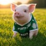 PALMEIRAS HQ 的头像