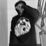 Profilbild von Big Dave🦅🦅