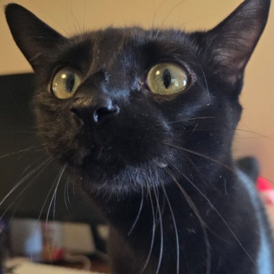 Eli's profile picture