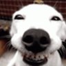 That-Person's profile picture