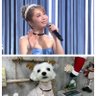 YUKO♡1/f♪RU♡'s profile picture