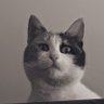 Dr. Rayan⁷ ⊙⊝⊜'s profile picture