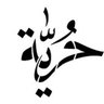 حميدو شامل's profile picture