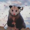 Фото профиля possum princess