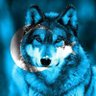 Ko'kBo'ri's profile picture