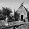 رداد الجنوبي profil fotoğrafı