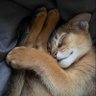 gusto_ profil fotoğrafı