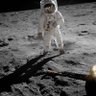 Фото профиля Apollo-11