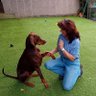Louise Haydock profil fotoğrafı