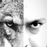 Фото профиля Wolf83
