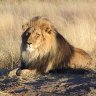 Фото профиля Aslan