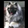 Sara Bryce's profile picture
